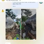 Chất tẩy mốc tường, mốc đá, mốc cao su, mốc silicon, tẩy trắng vải, khử trùng bề mặt HT01