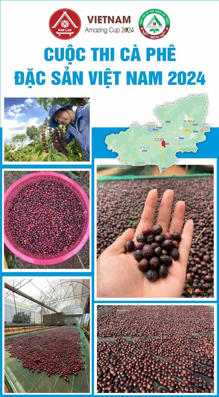 Môi trường trồng cà phê dưới tán rừng tự nhiên