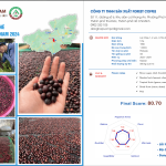 Cà phê đặc sản - Fine Robusta - FOREST COFFEE
